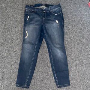 Torrid Jeans- Premium Collection✨NEW✨